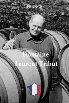 Domaine Laurent Tribut