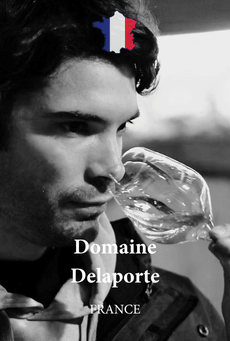 Domaine Delaporte