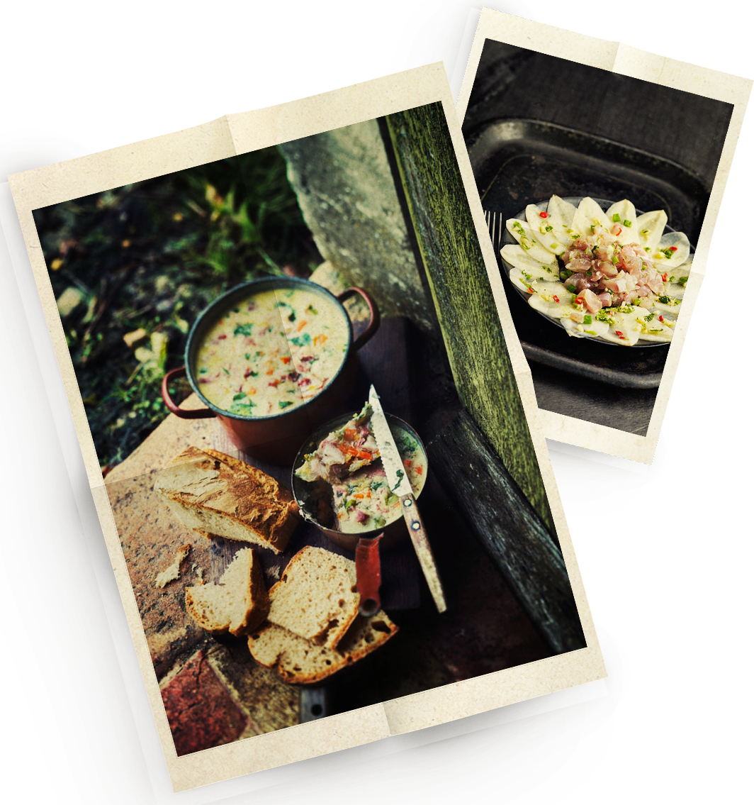 Accords mets & vins