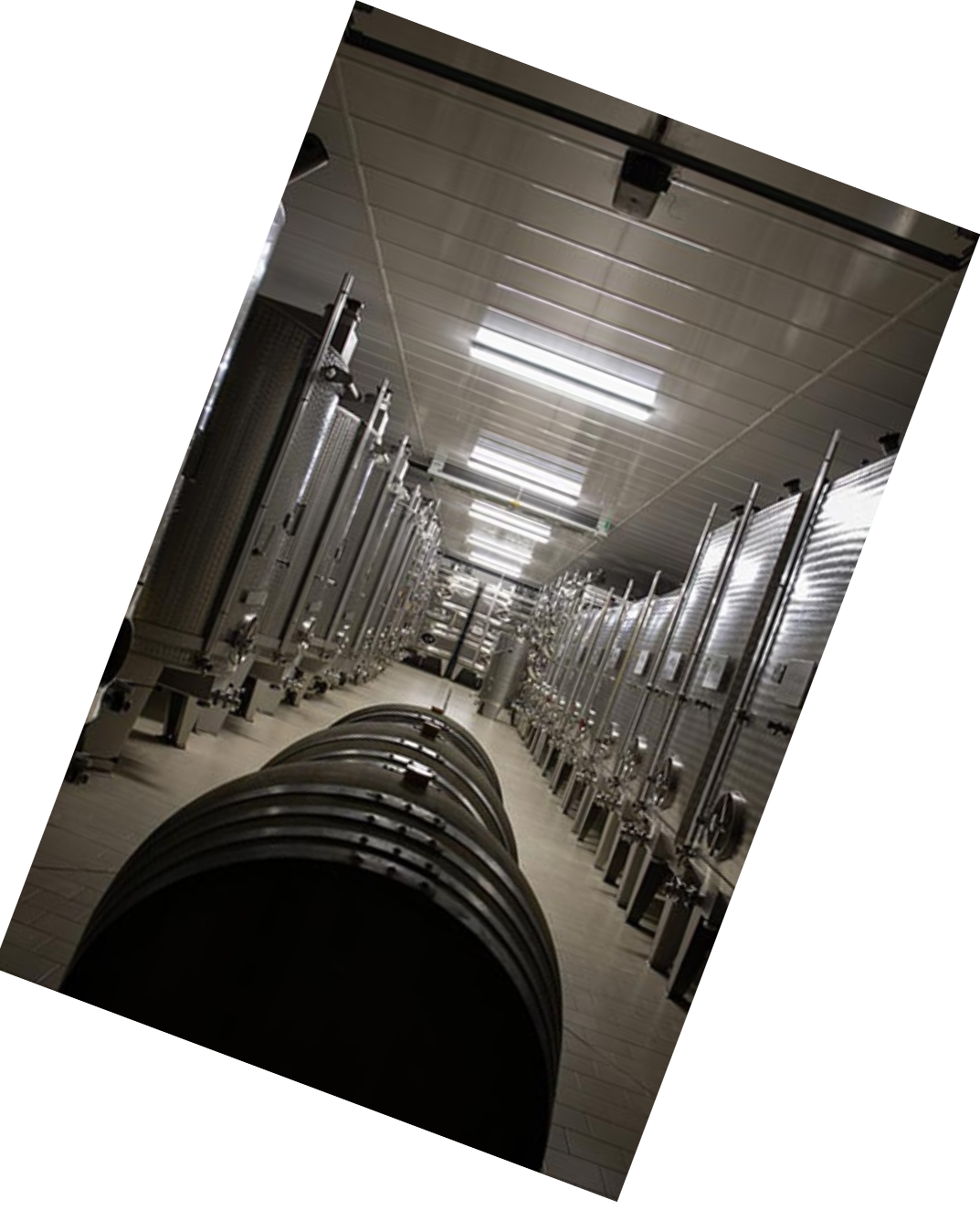 Vinification
