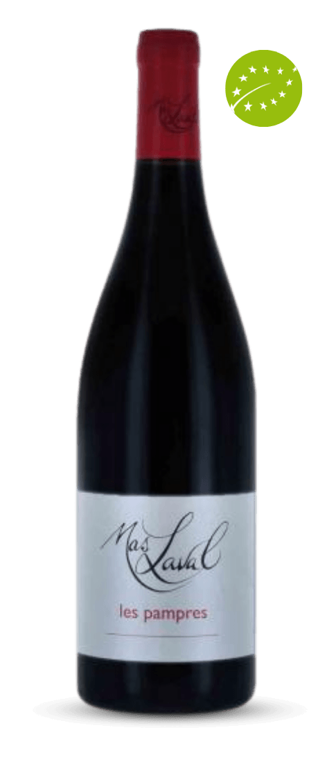 Les Pampres rouge - Languedoc Roussilon - Domaine Mas Laval