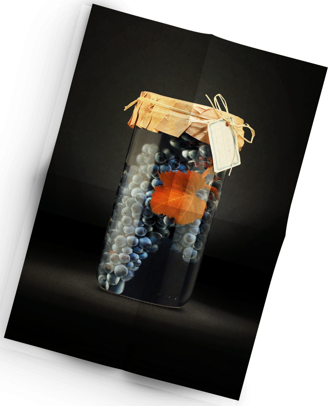 Vinification