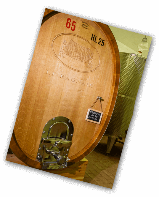 Vinification